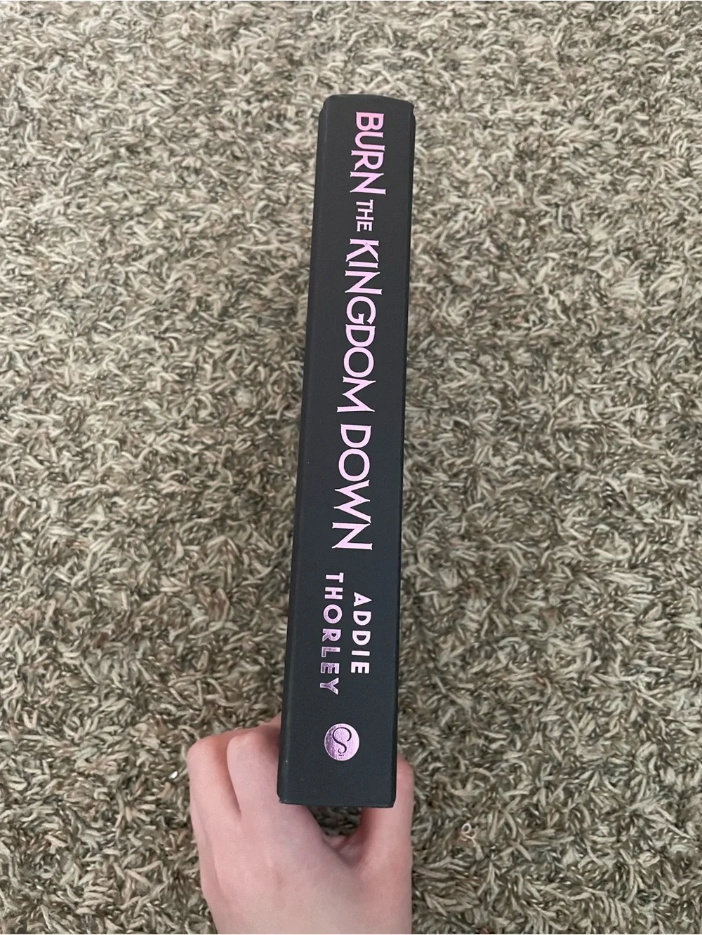 Burn the Kingdom Down by Addie Thorley - Black & Pink Cover